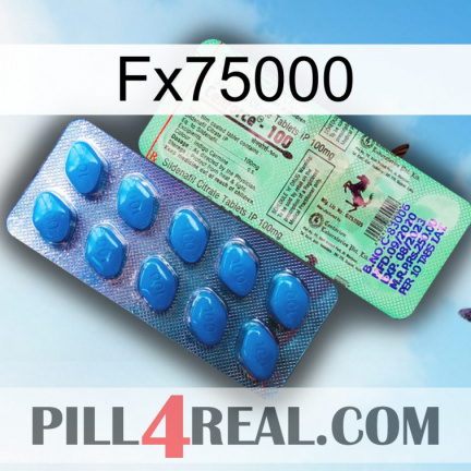 Fx75000 new02